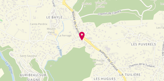 Plan de Mbtr, 864 chemin de Pierrenchon, 06810 Auribeau-sur-Siagne