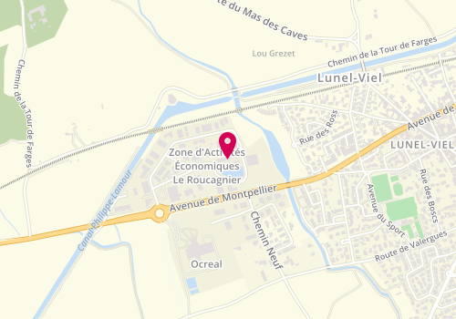 Plan de Etablissements Auriol, 361 Rue du Roucagnier, 34400 Lunel-Viel