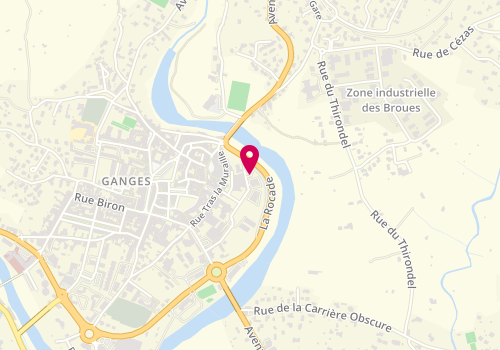 Plan de Le Dauphin, 5983F Rue Élie Gounelle, 34190 Ganges