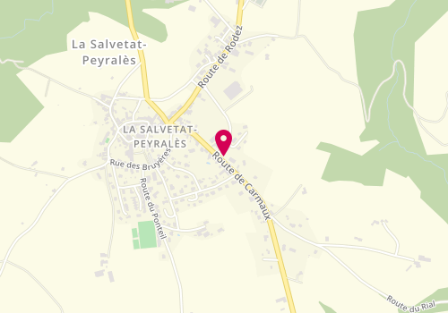 Plan de Garage Puech Auto, 19 Route de Carmaux, 12440 La Salvetat-Peyralès