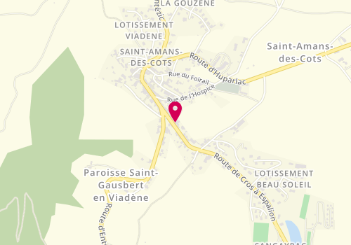 Plan de Viadène Auto, Route Estaing, 12460 Saint-Amans-des-Cots