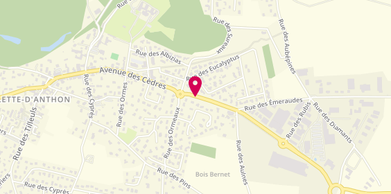 Plan de Mecasport, 198 Avenue des Cedres, 38280 Villette-d'Anthon