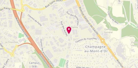 Plan de W69, 6 Rue des Aulnes, 69410 Champagne-au-Mont-d'Or