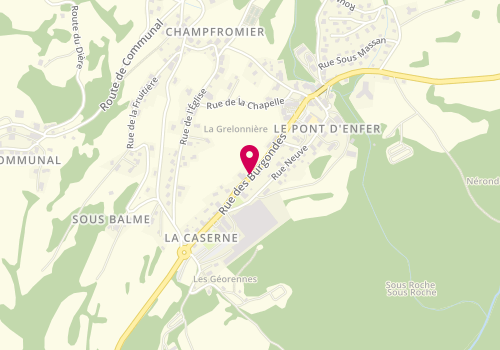 Plan de Total, 832 Route des Burgondes, 01410 Champfromier