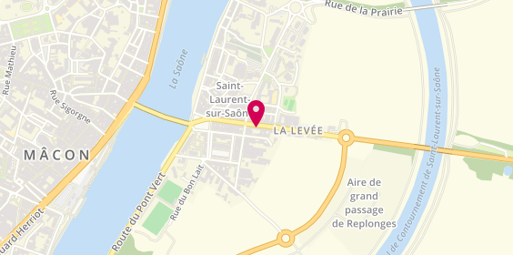 Plan de Motrio, 168 Rue de la Levée, 01750 Saint-Laurent-sur-Saône