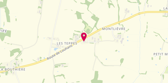 Plan de Autoreprog, 64 Chemin de Montlievre, Lieu-Dit Les Teppes, 71470 Romenay