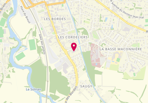 Plan de Siligom, 79 Rue des Bordes, 71500 Louhans