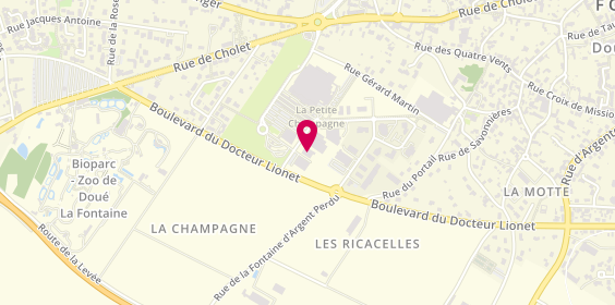 Plan de Etape Auto, Boulevard Dr Lionet Boulevard Du, 49700 Doué-en-Anjou