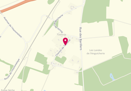 Plan de Fiservice Fiauto, 7 Chemin Tue Loup, 37170 Chambray-lès-Tours