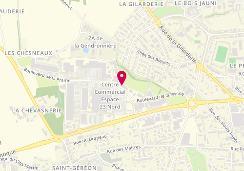 Plan de Norauto France, 482 Boulevard de la Prairie Espace 23, 44150 Ancenis-Saint-Géréon
