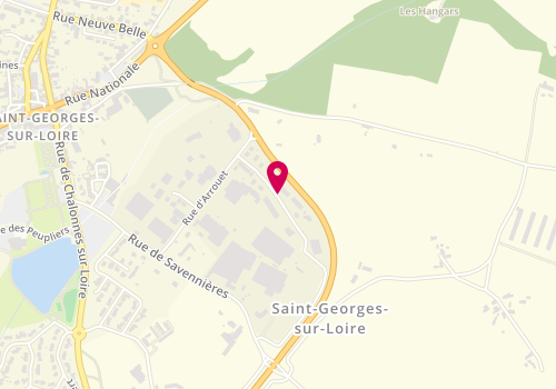 Plan de Saint Georges Camping Car, 16 Rue du Grand Moulin, 49170 Saint-Georges-sur-Loire