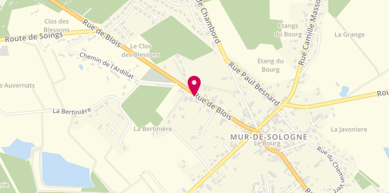Plan de Access - TotalEnergies, 341 Route de Blois, 41230 Mur-de-Sologne