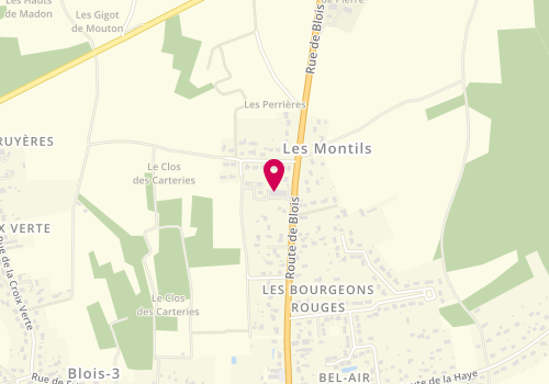 Plan de Les Montils Auto, 50 Route de Blois, 41120 Les Montils