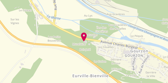 Plan de Espace Carrosserie, 3 avenue Charles Burgeat, 52170 Bayard-sur-Marne